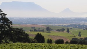 tafelberg-von-koopmanskloof-min